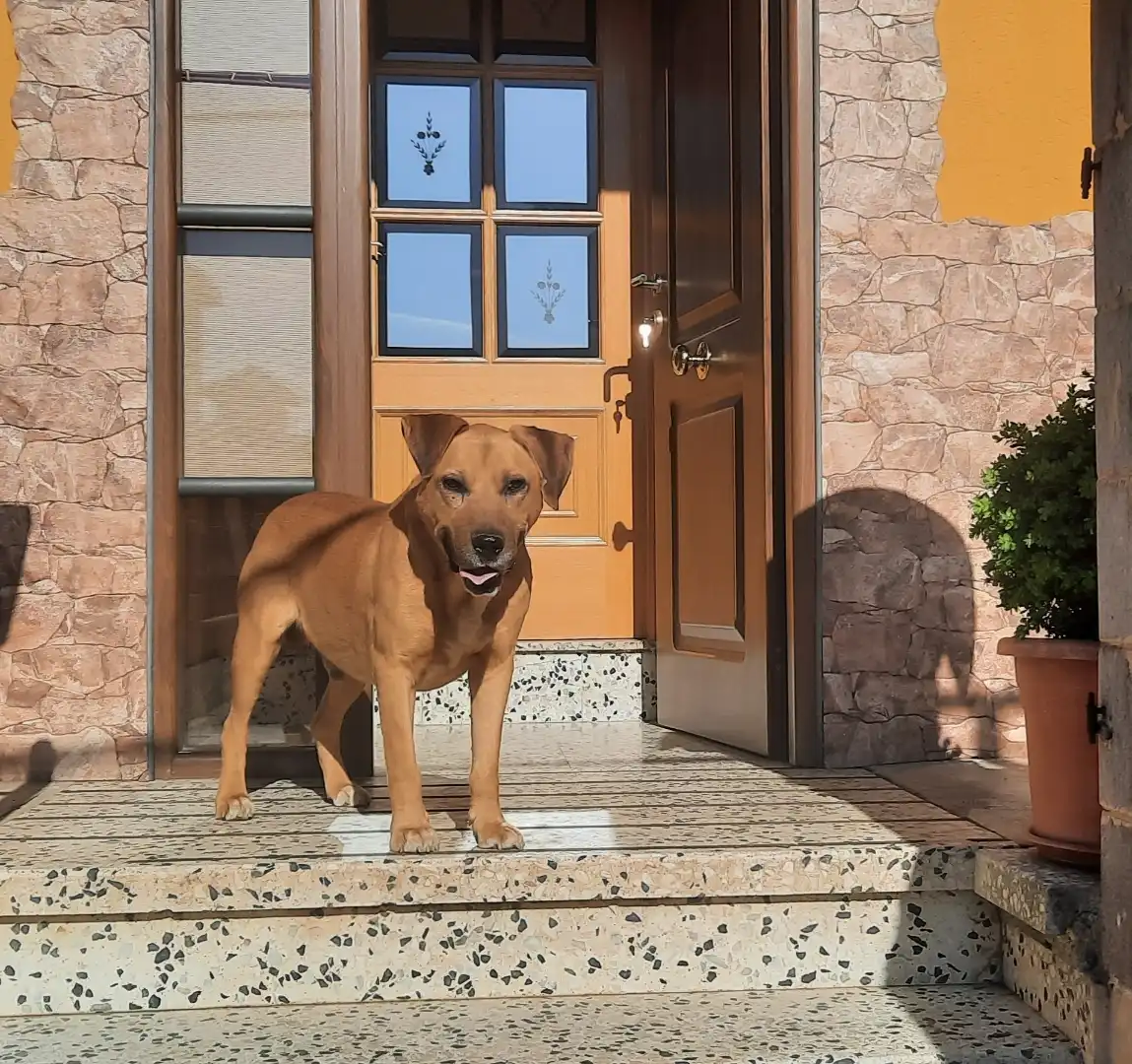 Flat for sale in Calle Baldomero Abella, 11, Fabero Exterior view of Flat for sale in Fabero with Heating, Private garden and Terrace