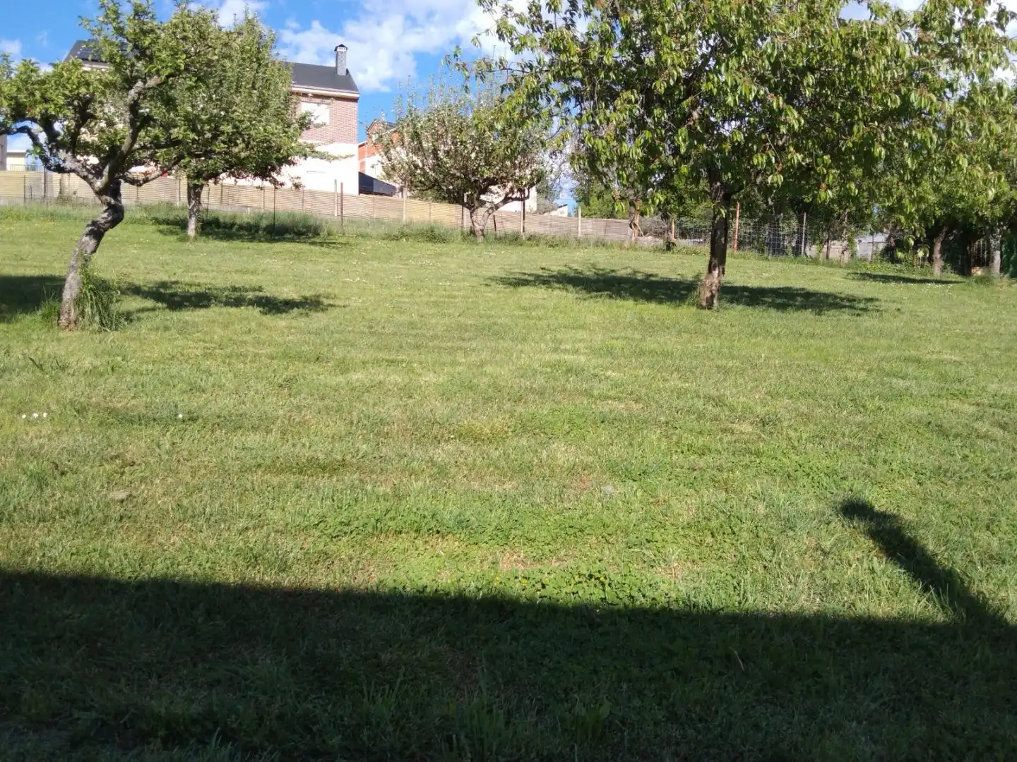 Flat for sale in Calle Baldomero Abella, 11, Fabero Flat for sale in Fabero with Heating, Private garden and Terrace