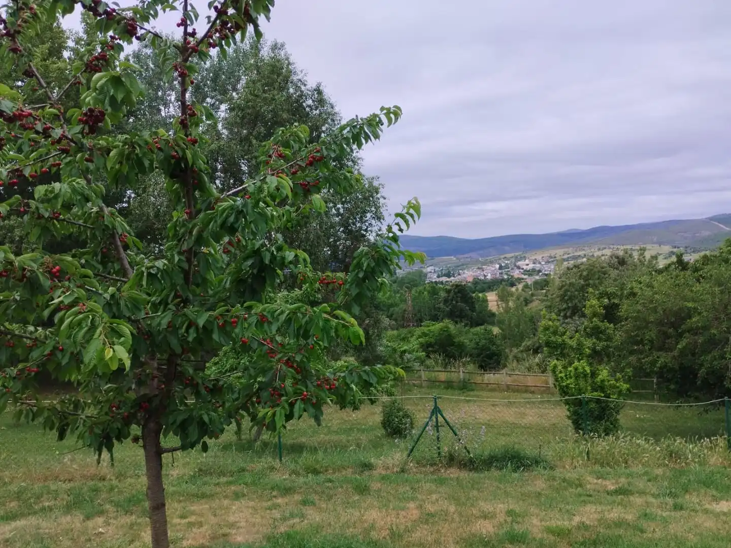 Flat for sale in Calle Baldomero Abella, 11, Fabero Flat for sale in Fabero with Heating, Private garden and Terrace