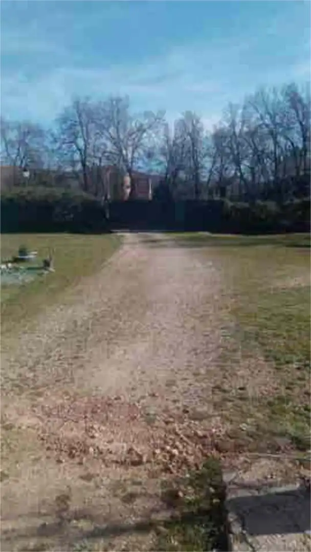 Garden of Detached homes for sale in Loranca de Tajuña  with Heating and Private garden