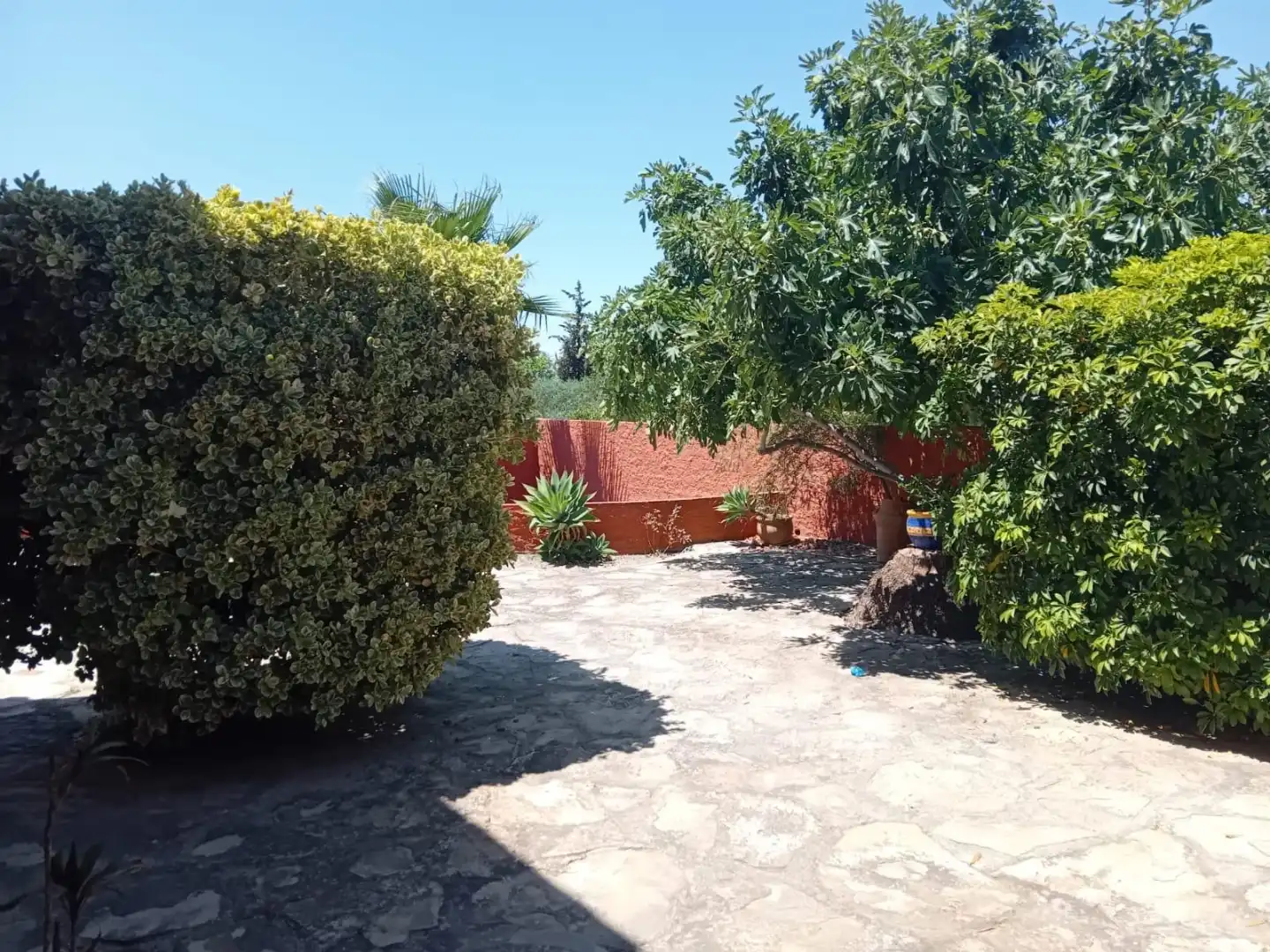 Finca rústica en venda a Al-6113, 3, Mojácar Jardí de Finca rústica en venda en Mojácar amb Aire condicionat, Terrassa i Piscina