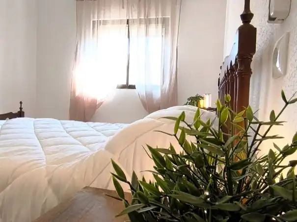 Casa o xalet en venda a Carretera de Valdepeñas, 123, Torrenueva