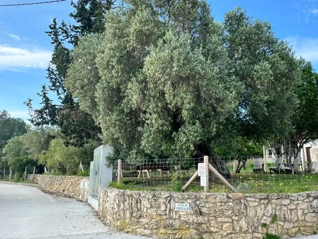 Casa o chalet de alquiler en Diseminado Disseminat, 69, Puig Moltó - Can Macià Casa o chalet de alquiler en Diseminado Disseminat, 69, Puig Moltó - Can Macià