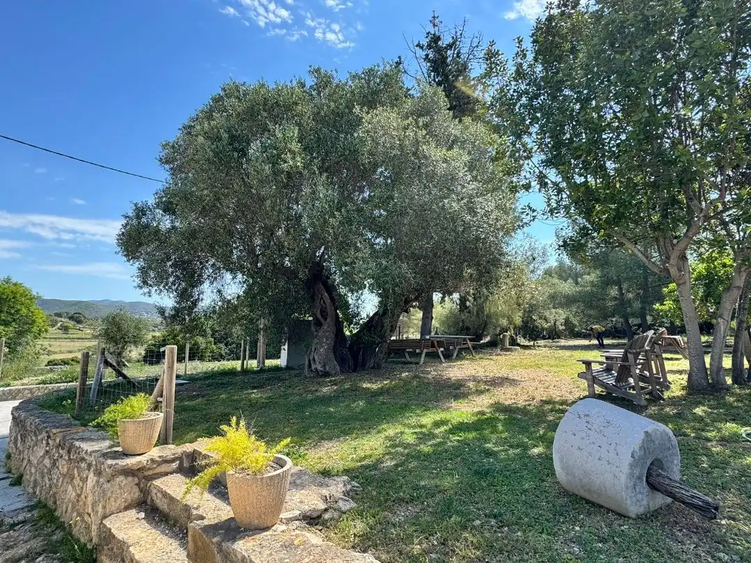 Casa o chalet de alquiler en Diseminado Disseminat, 69, Puig Moltó - Can Macià Casa o chalet de alquiler en Diseminado Disseminat, 69, Puig Moltó - Can Macià