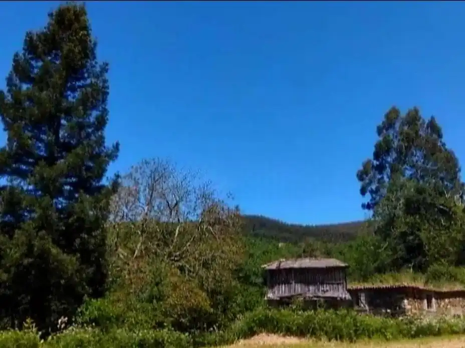 Planta baixa en venda en Narón