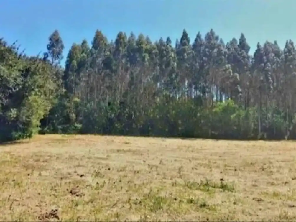 Planta baixa en venda en Narón