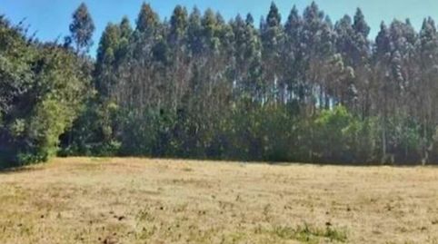 Planta baixa en venda a Camiño de Figueiras, 9, Sedes - Pedroso - Doso, Narón - imatge 5 Foto 5 de Planta baixa en venda a Camiño de Figueiras, 9, Sedes - Pedroso - Doso, Narón
