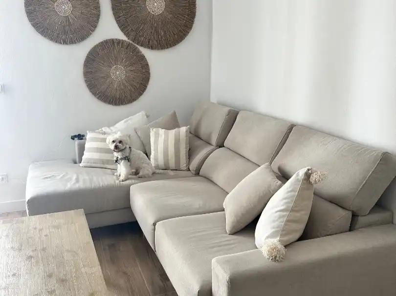Piso de alquiler en Avinguda d'Ignasi Wallis, 6, S'Eixample - Can Misses Sala de estar de Piso de alquiler en Eivissa con Aire acondicionado, Calefacción y Parquet