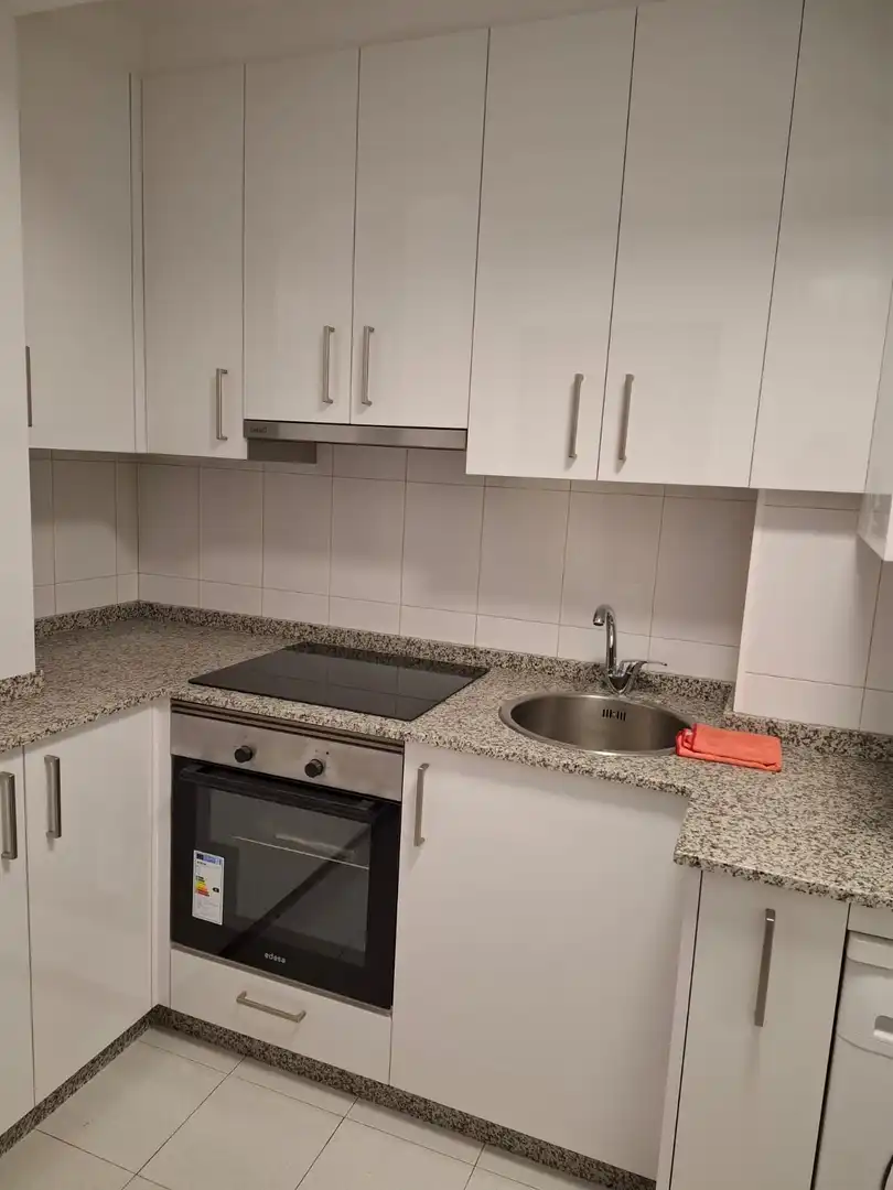 Cocina de Apartamento de alquiler en Ames