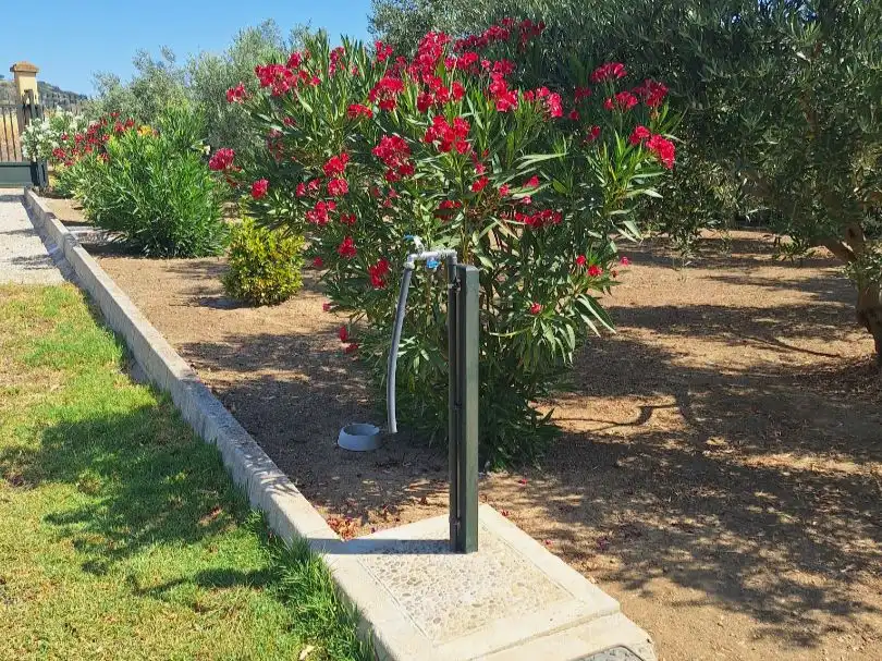 Garten von Wohnung zum Verkauf in Olvera