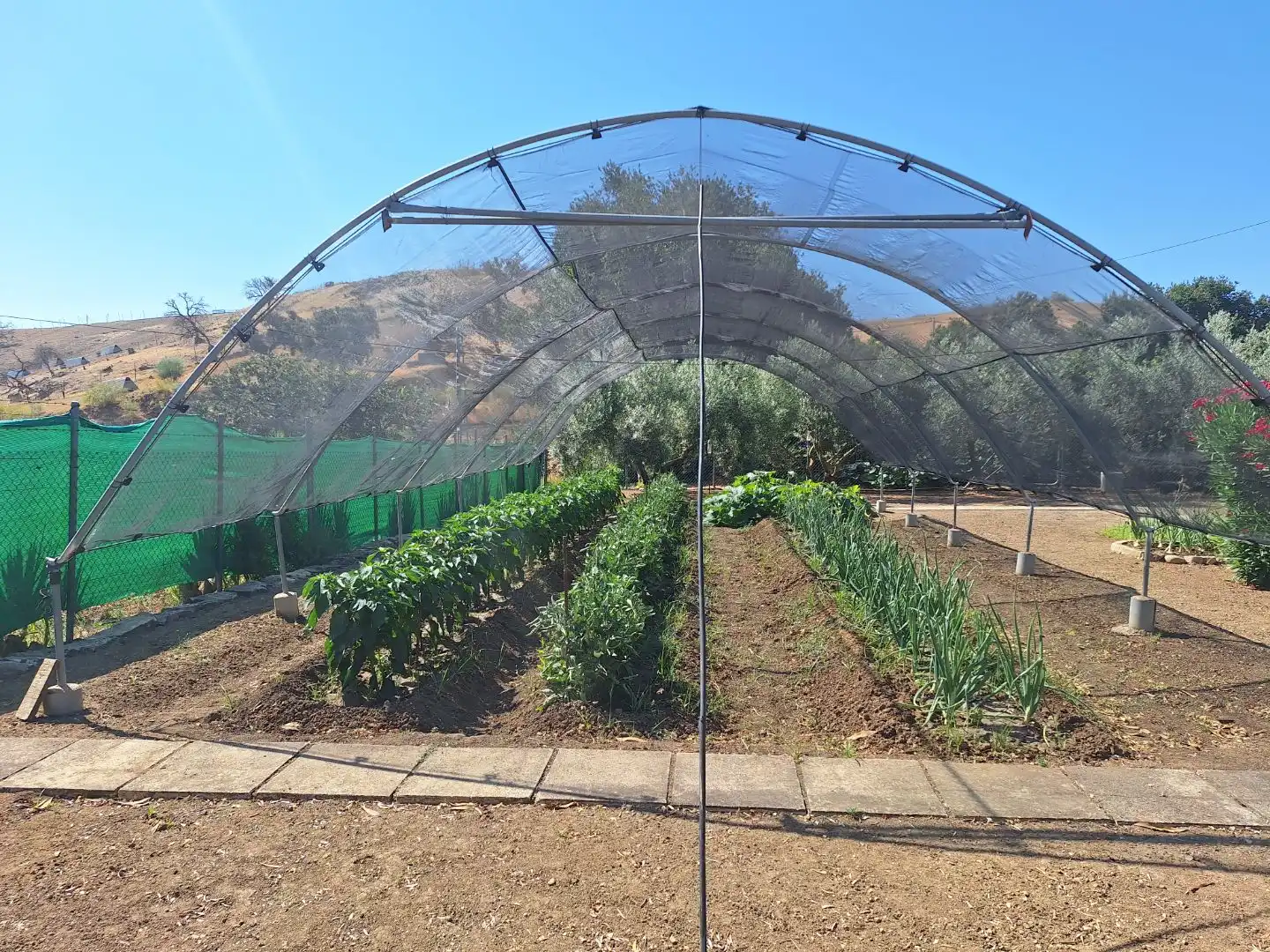 Garten von Wohnung zum Verkauf in Olvera