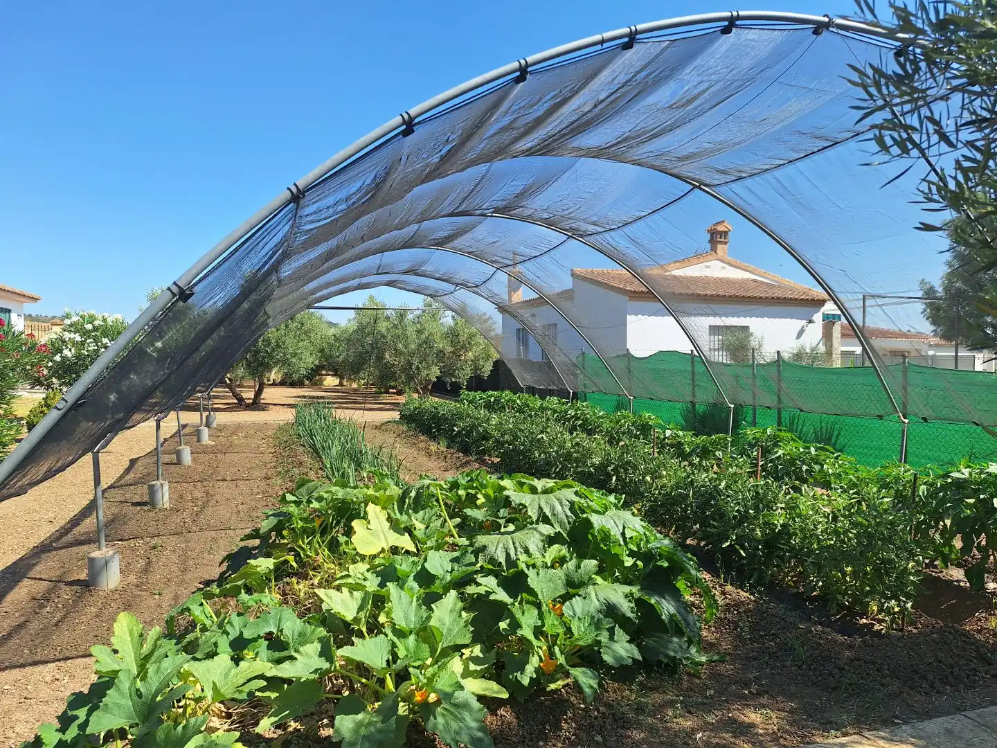 Garten von Wohnung zum Verkauf in Olvera