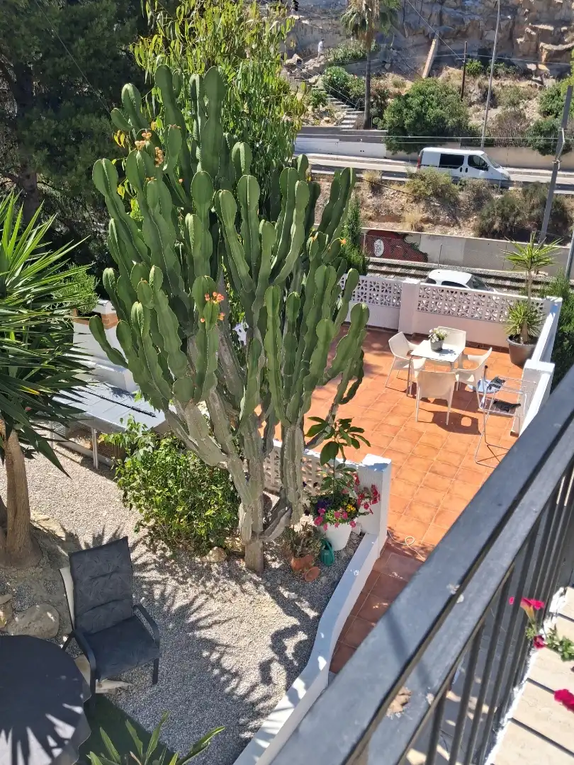 Casa o xalet en venda a Calle Madrid, 40, Pueblo Español - Coveta Fumá Terrassa de Casa o xalet en venda en El Campello amb Jardí privat, Terrassa i Balcó