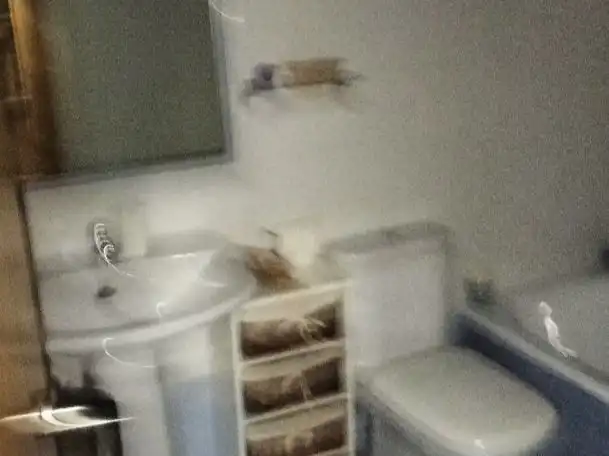 Ático en venta en Avenida Rosalía de Castro, 50, Vilagarcía Baño de Ático en venta en Vilagarcía de Arousa con Calefacción, Parquet y Terraza