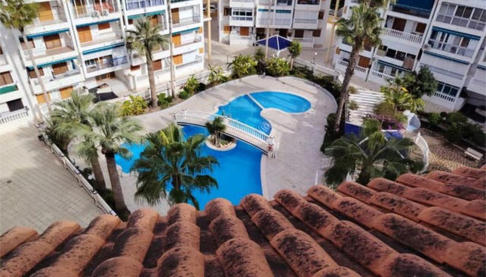 Estudio en venta en Los Europeos, Torrevieja - imagen 1 Foto 1 de Estudio en venta en Los Europeos, Torrevieja
