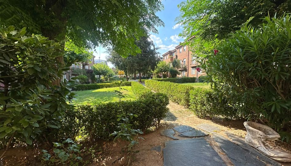 Pis de lloguer a Calle Los Arces, 8, Prado Santo Domingo - Ensanche, Alcorcón - imatge 1 Foto 1 de Pis de lloguer a Calle Los Arces, 8, Prado Santo Domingo - Ensanche, Alcorcón