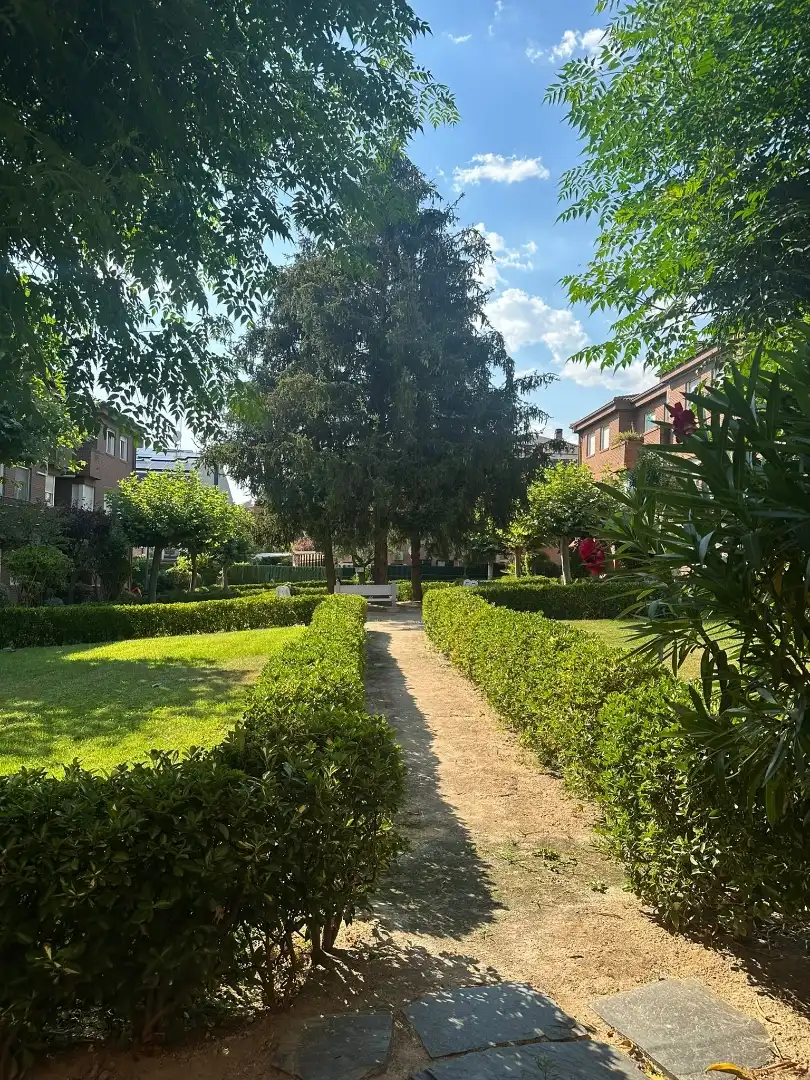 Flat for rent in Calle los Arces, 8, Prado Santo Domingo - Ensanche Flat for rent in Calle los Arces, 8, Prado Santo Domingo - Ensanche