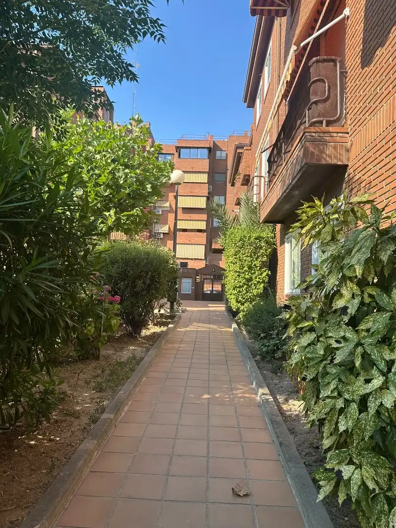 Flat for rent in Calle los Arces, 8, Prado Santo Domingo - Ensanche Flat for rent in Calle los Arces, 8, Prado Santo Domingo - Ensanche