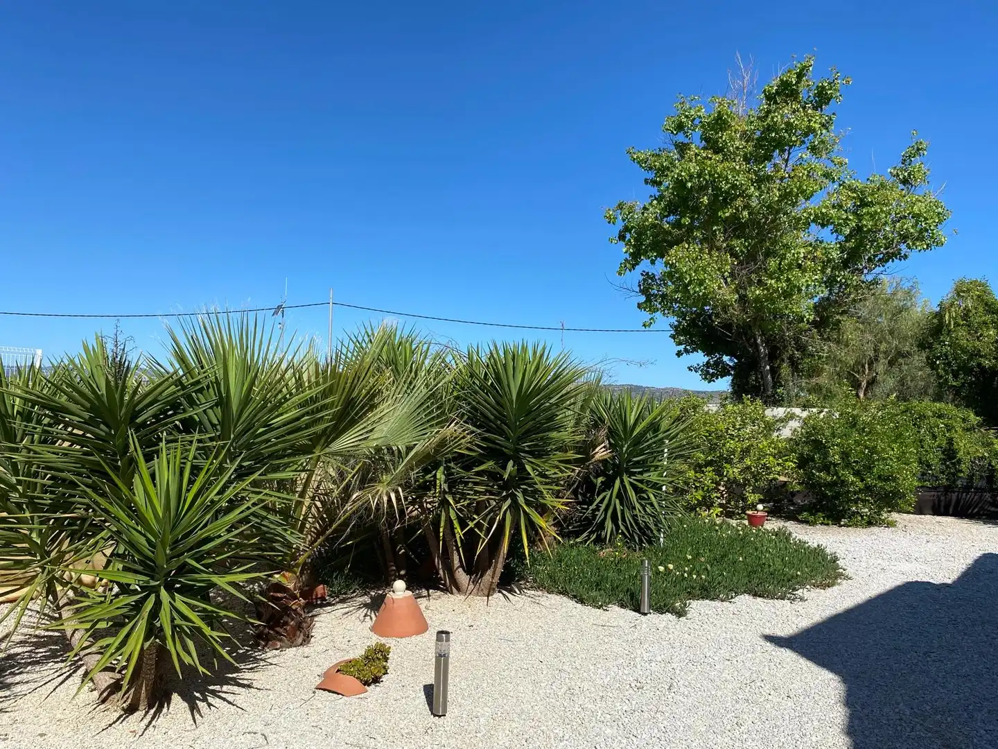 Garden of Country homes for sale in Pliego  with Air Conditioner, Private garden and Terrace