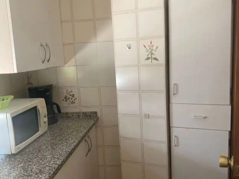 Piso de alquiler en Alameda de Capuchinos, 50, El Ejido Cocina de Piso de alquiler en Málaga con Amueblado