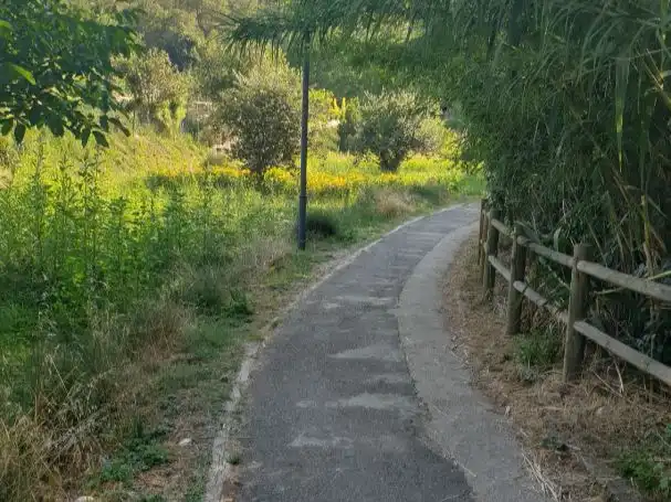 Casa o xalet en venda a Plaça de Pedralbes, 20, Pedralbes Vista exterior de Casa o xalet en venda en Barcelona amb Aire condicionat, Calefacció i Jardí privat