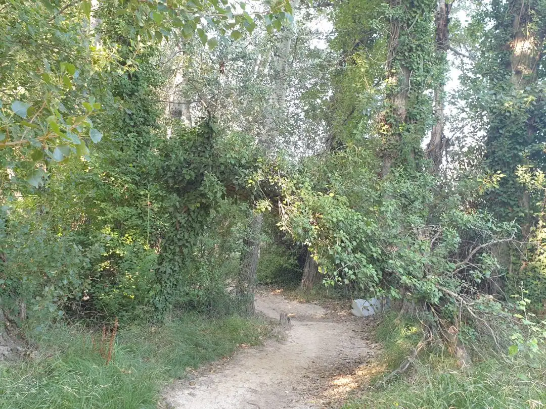Casa o xalet en venda a Plaça de Pedralbes, 20, Pedralbes Casa o xalet en venda en Barcelona amb Aire condicionat, Calefacció i Jardí privat
