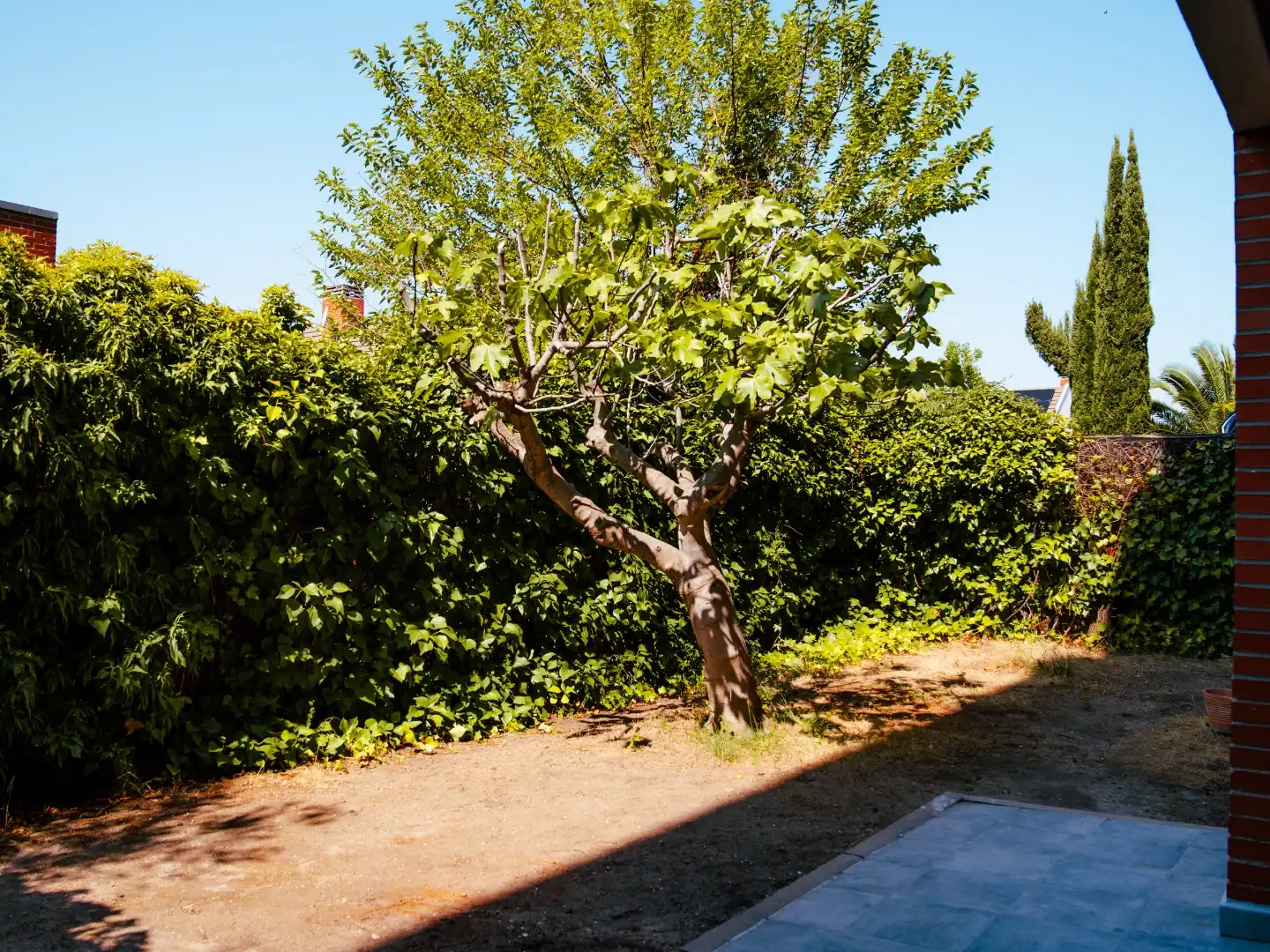 Flat for sale in Calle Pío Baroja, 6, Boadilla del Monte Garden of Flat for sale in Boadilla del Monte with Swimming Pool