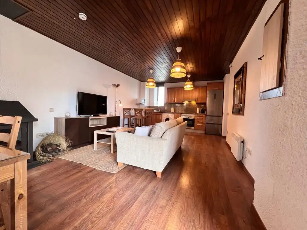 Apartments for rent in Avinguda França, 10, Puigcerdà Living room of Apartments for rent in Puigcerdà with Heating, Parquet flooring and Furnished