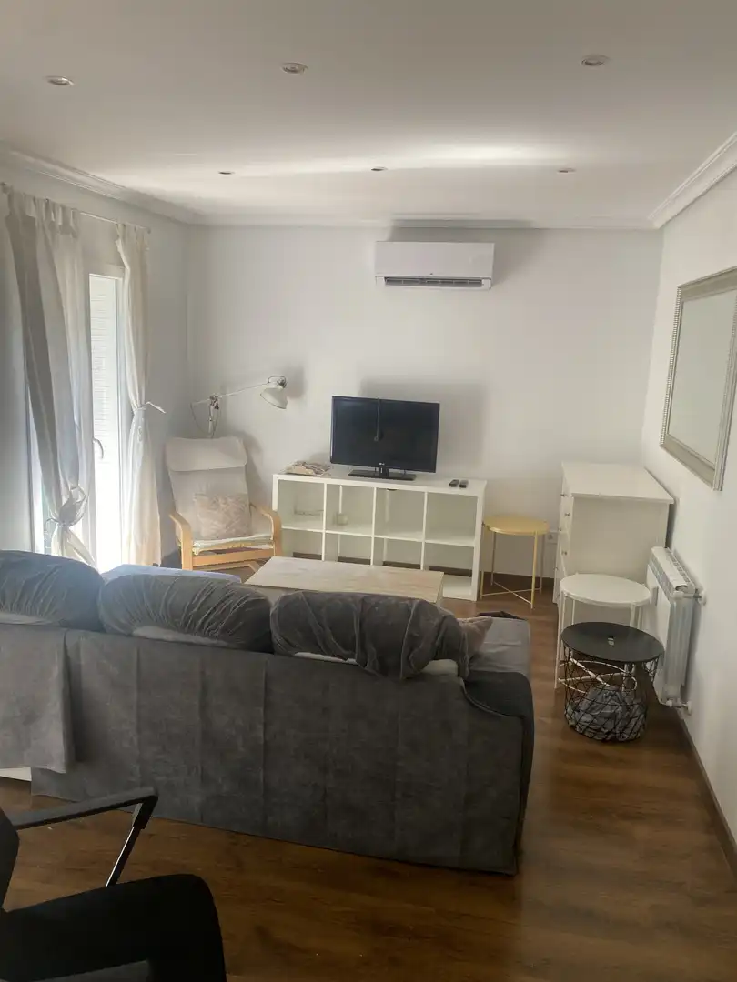 Flat for rent in Calle de Fernández de la Hoz, 37, Almagro Living room of Flat for rent in Madrid Capital with Air Conditioner and Balcony
