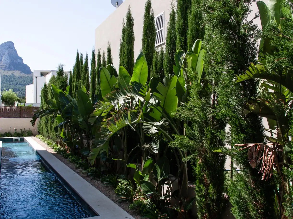 Casa o chalet en venta en Carrer de L'arbocera, 46, Colònia de Sant Pere Jardín de Casa o chalet en venta en Artà con Aire acondicionado, Terraza y Piscina