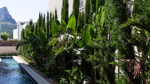 Casa o chalet en venta en Carrer de L'arbocera, 46, Colònia de Sant Pere, Artà - imagen 3 Foto 3 de Casa o chalet en venta en Carrer de L'arbocera, 46, Colònia de Sant Pere, Artà