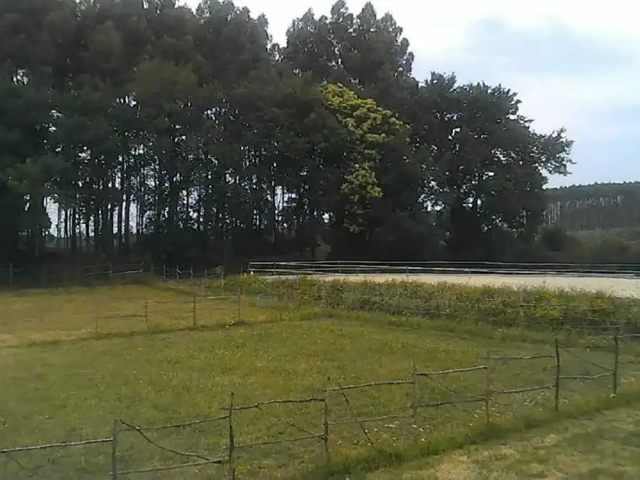 Finca rústica en venda a Lugar Seixo, 1, Vilasantar Finca rústica en venda en Vilasantar amb Aire condicionat, Calefacció i Jardí privat