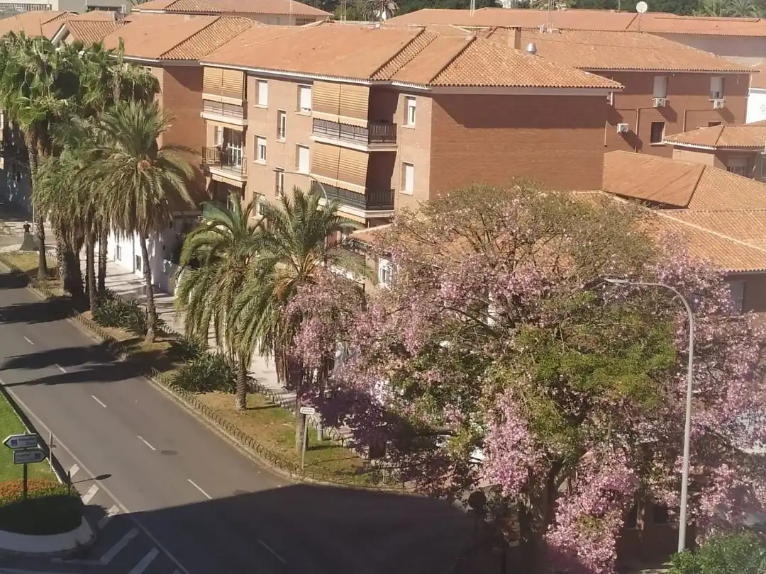 Apartamento de alquiler en Avenida del Arroyo de los Ángeles, 9, La Trinidad Vista exterior de Apartamento de alquiler en Málaga con Aire acondicionado, Calefacción y Amueblado