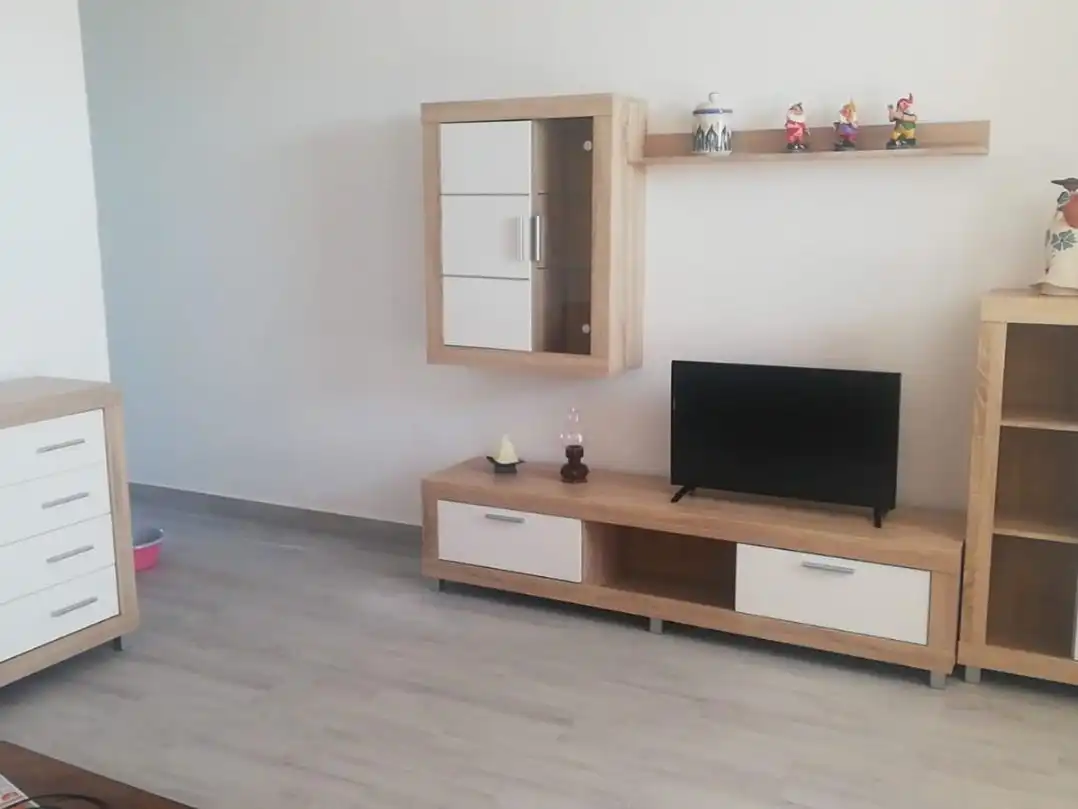 Apartamento de alquiler en Avenida de Los Europeos, 10, Los Europeos Sala de estar de Apartamento de alquiler en Torrevieja