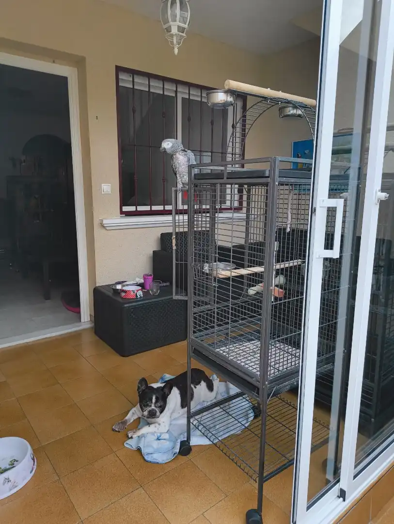 Detached homes for rent in Orihuela  with Air Conditioner, Terrace and Furnished