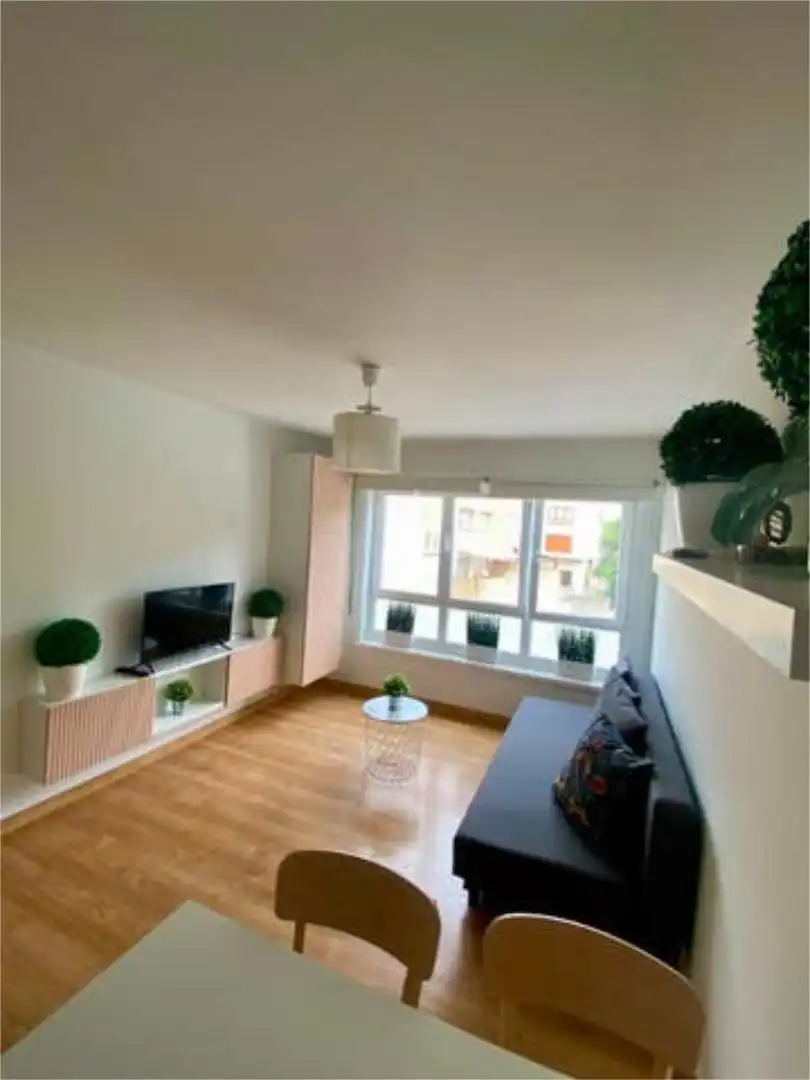 Apartments for rent in Perillo Living room of Apartments for rent in Oleiros with Furnished