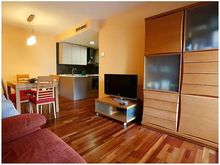 Flat for rent in Avinguda de la Diputació, 41, Regueral - Prat d'en Forés
