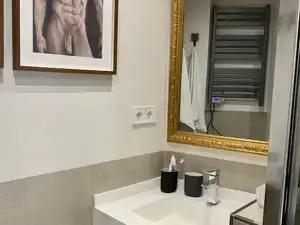 Dúplex de alquiler en Calle de Moratín, 18, Cortes - Huertas Baño de Dúplex de alquiler en Madrid Capital con Balcón