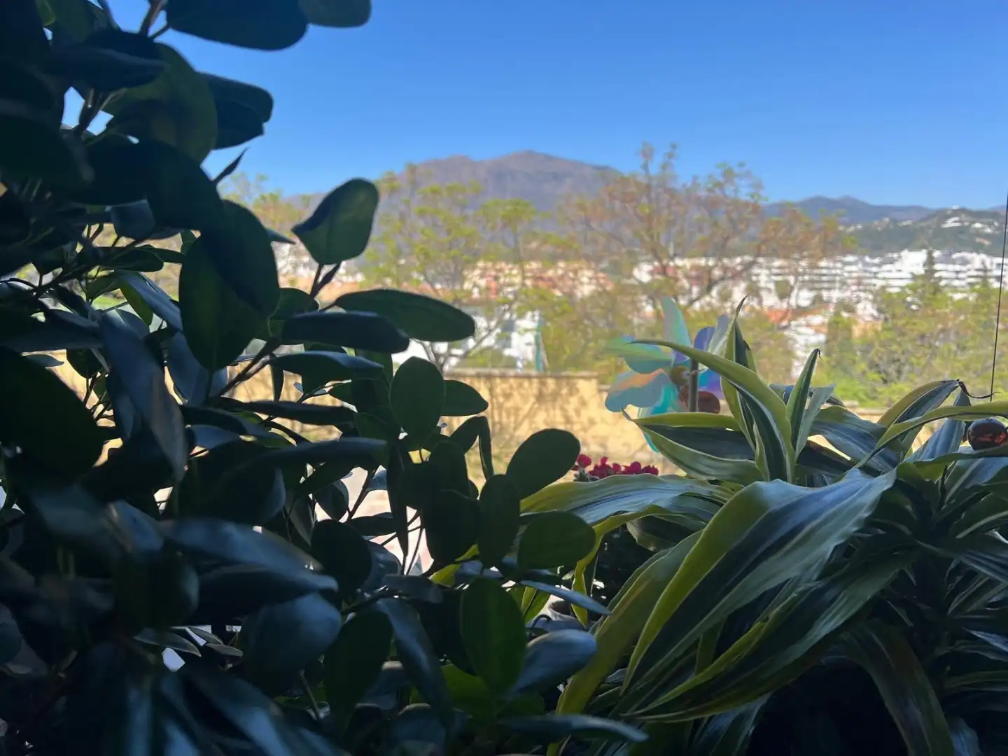 Flat for rent in Calle Doctor Cristóbal Ruiz Méndez, 27, Huerta Nueva Garden of Flat for rent in Estepona with Air Conditioner, Heating and Parquet flooring