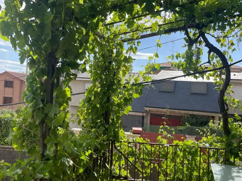 Houses for rent in Calle de Otero y Delage, 57, Peñagrande Exterior view of Houses for rent in Madrid with Air Conditioner, Heating and Private garden