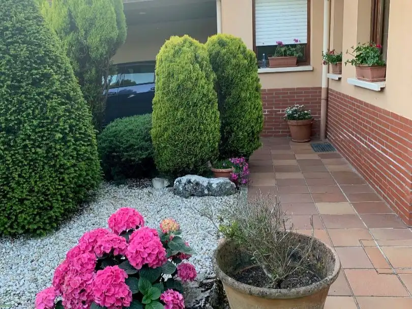 Casa o xalet en venda a Viella - Granda - Meres Jardí de Casa o xalet en venda en Siero