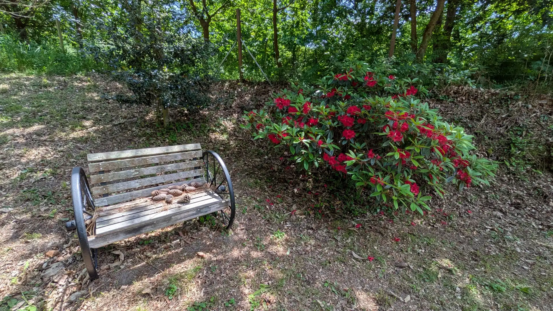 Casa o chalet de alquiler en Lugar Rio-san Martiño, 24, Foz
