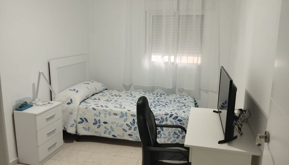 Habitación en Plazuela de las Tres Carabelas, 5, Alameda - Mentidero - Teatro Falla, Cádiz Capital - imagen 1 Foto 1 de Habitación en Plazuela de las Tres Carabelas, 5, Alameda - Mentidero - Teatro Falla, Cádiz Capital
