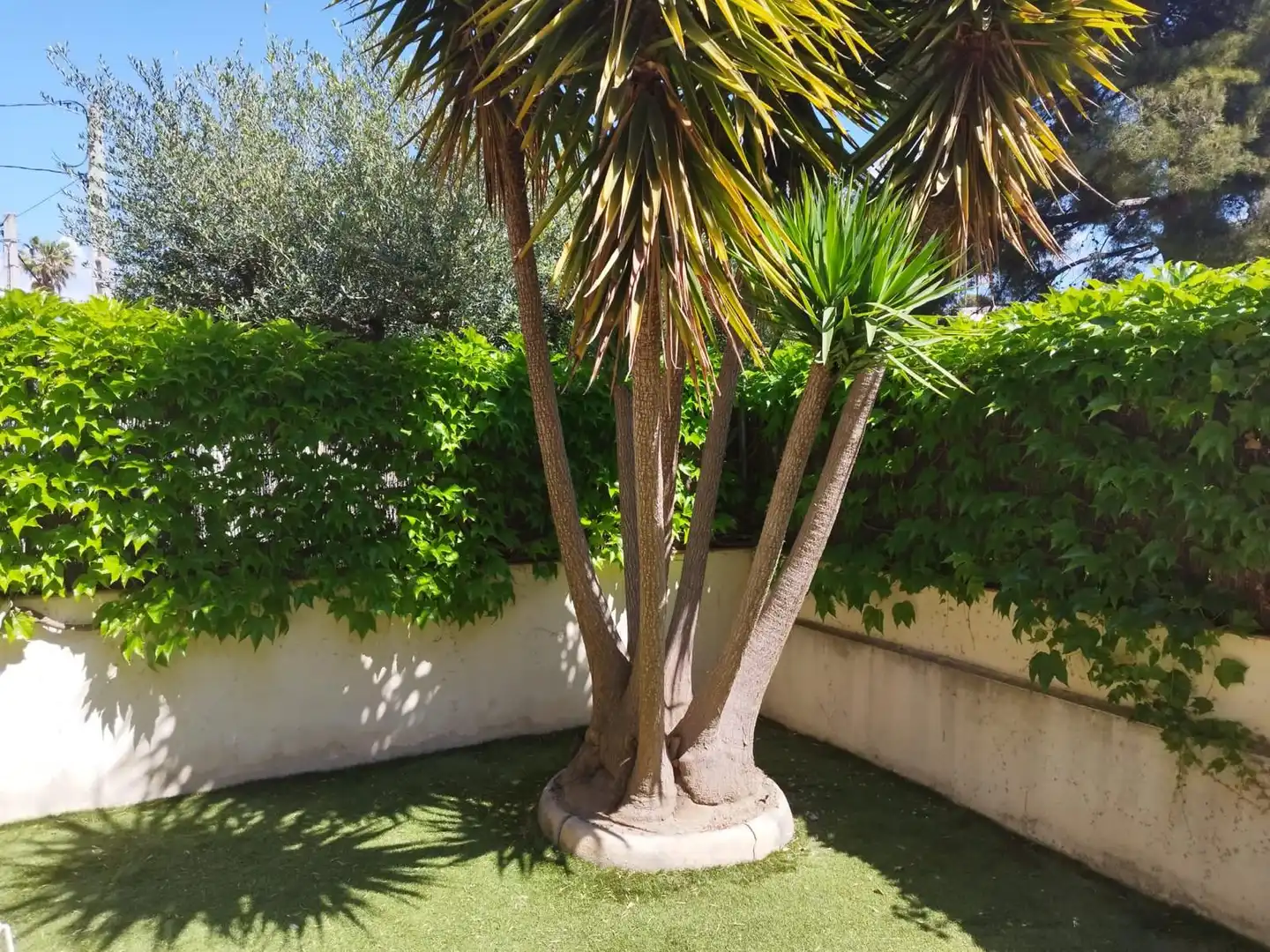 Pis de lloguer a Avinguda Espanya, 28, Segur de Calafell Jardí de Pis de lloguer en Calafell amb Aire condicionat, Calefacció i Jardí privat