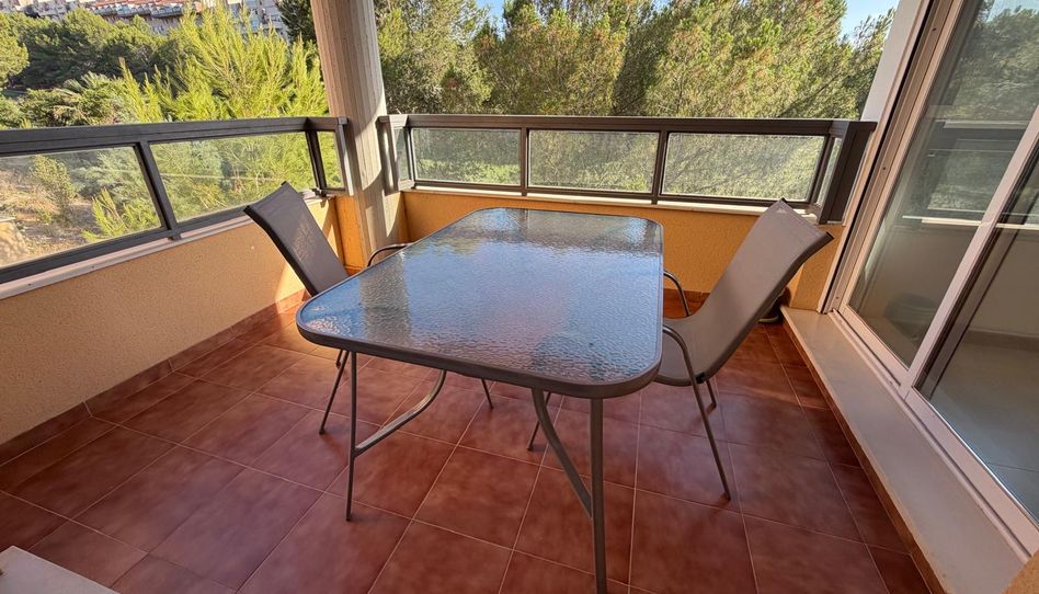 Piso de alquiler en Calle Garden Golf, 4, Altorreal - El Chorrico, Molina de Segura - imagen 1 Foto 1 de Piso de alquiler en Calle Garden Golf, 4, Altorreal - El Chorrico, Molina de Segura