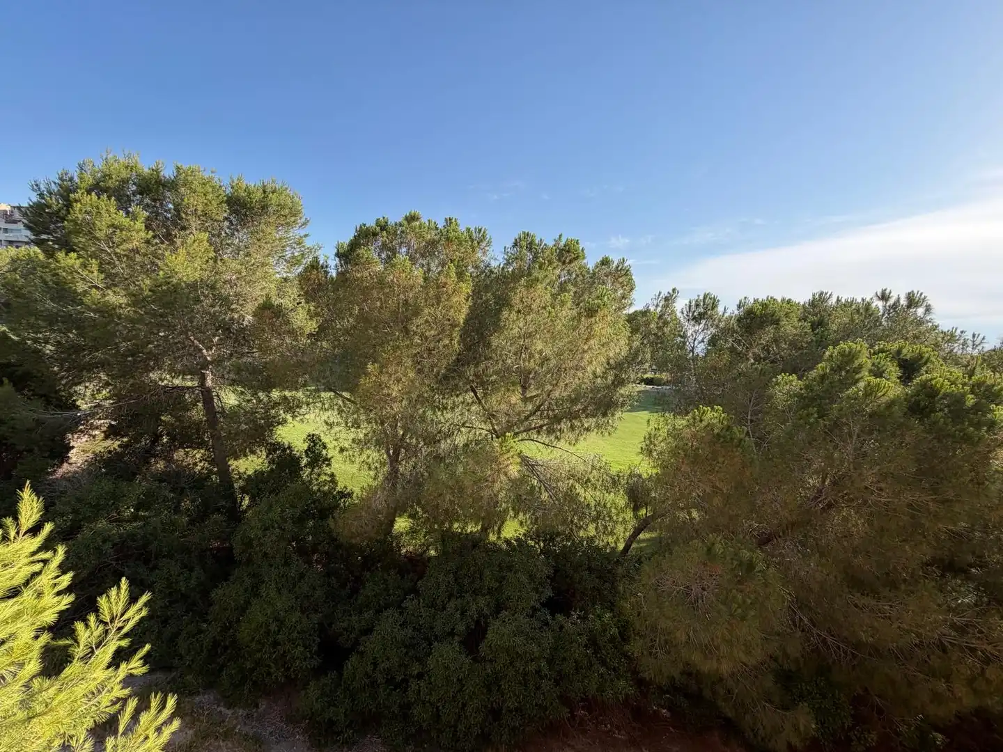 Pis de lloguer a Calle Garden Golf, 4, Altorreal - El Chorrico Pis de lloguer en Molina de Segura amb Aire condicionat, Jardí privat i Terrassa