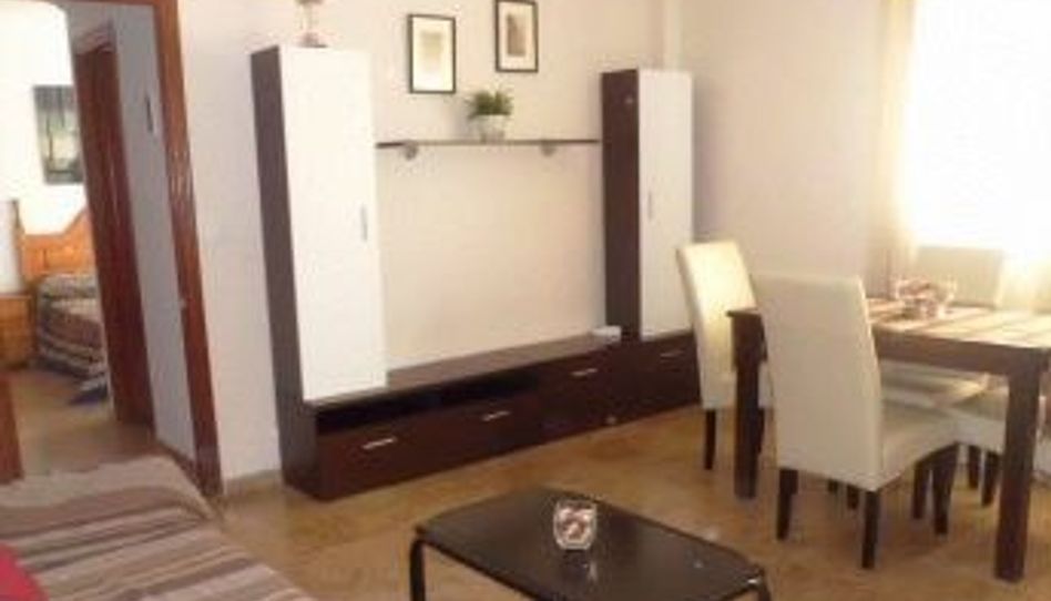 Apartments for rent in Calle Siete de Mayo, 11, Ciudad Jardín - Zoco, Córdoba Capital - image 1 Photo 1 of Apartments for rent in Calle Siete de Mayo, 11, Ciudad Jardín - Zoco, Córdoba Capital