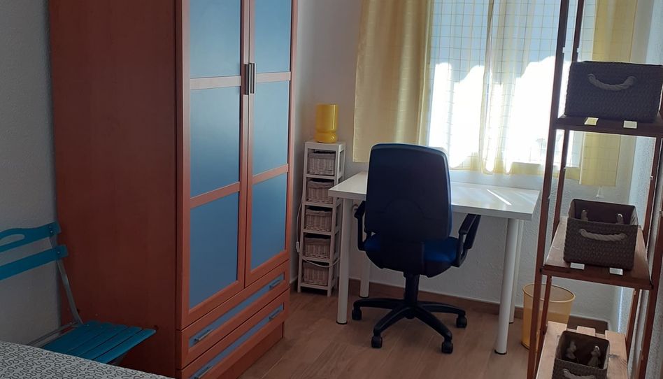 Room in Calle Arturo Gazul, 13, Ciudad Jardín, Badajoz Capital - image 1 Photo 1 of Room in Calle Arturo Gazul, 13, Ciudad Jardín, Badajoz Capital