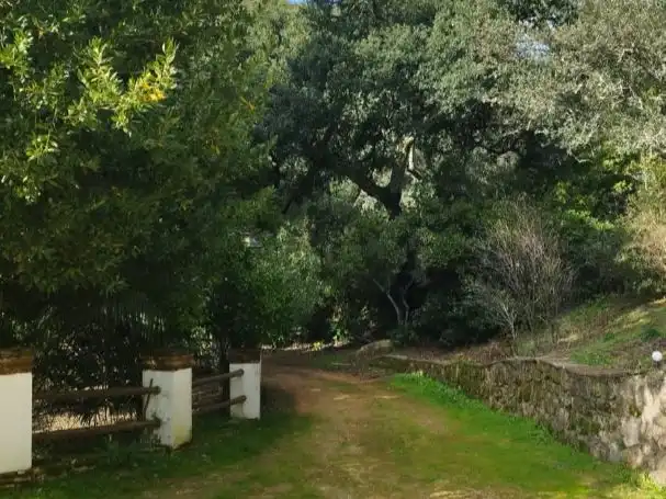 Casa o chalet de alquiler en Calle de la Encina, 1, Santa Maria de Trassierra Jardín de Casa o chalet de alquiler en Córdoba con Aire acondicionado, Calefacción y Jardín privado