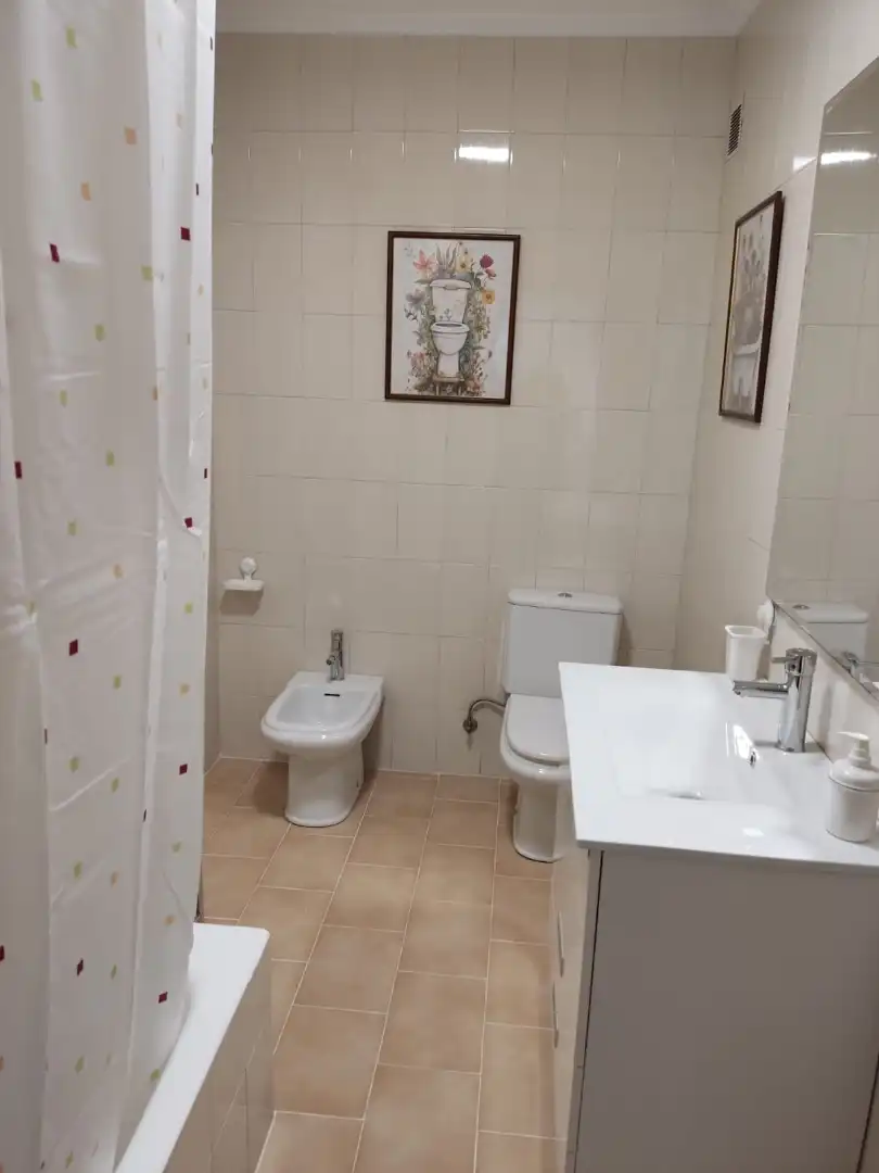 Pis de lloguer a Rúa Montirón, 79, San Roque - As Fontiñas Bany de Pis de lloguer en Lugo amb Calefacció, Parquet i Terrassa